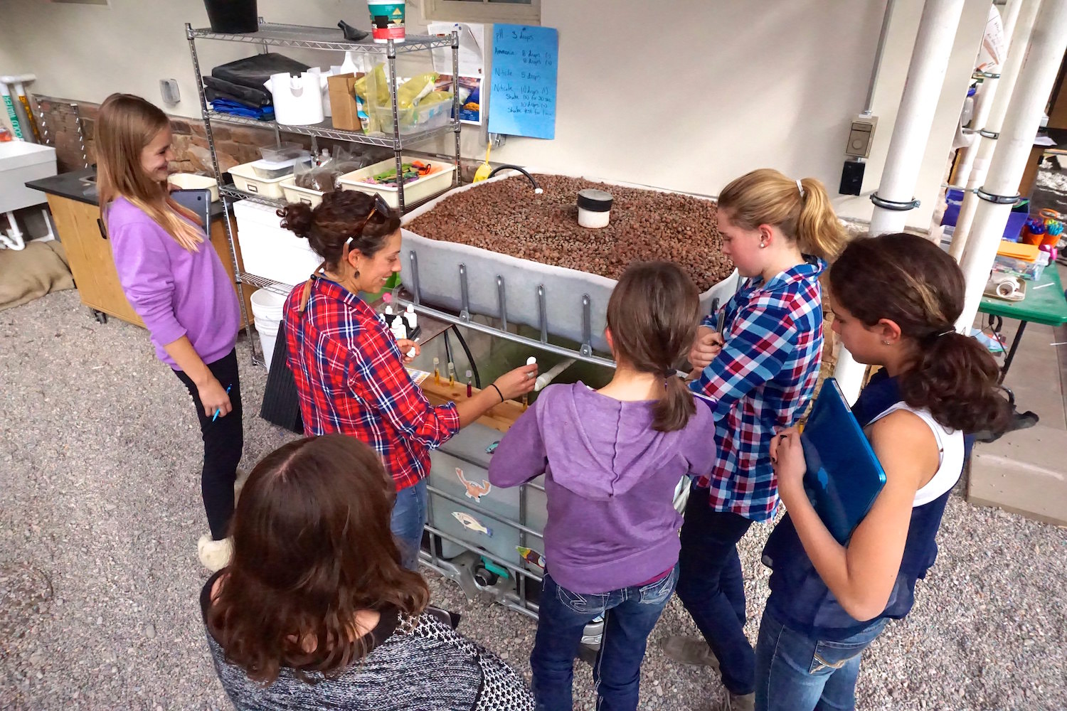 Students learning hands-on with aquaponics system