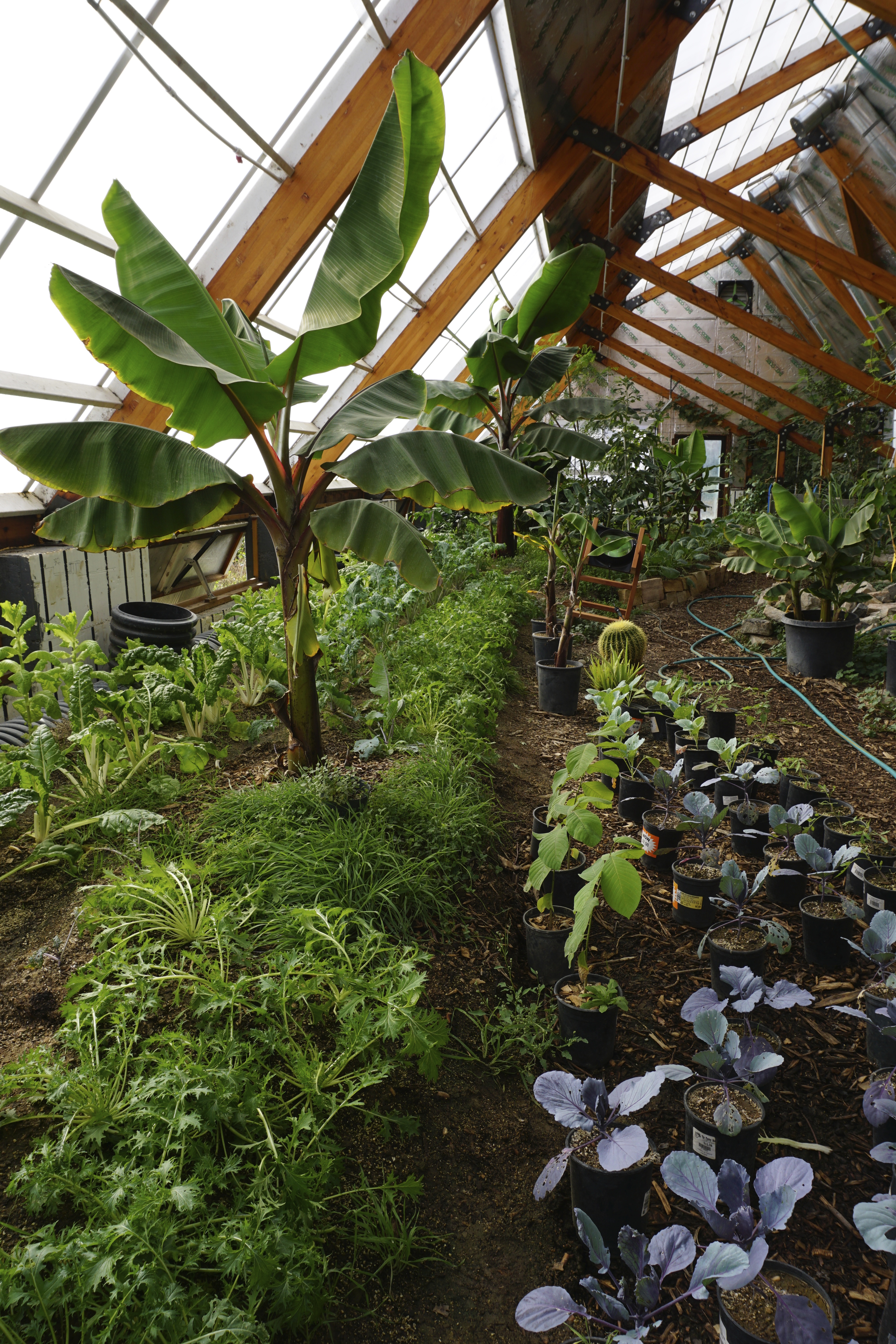tropical greenhouse design