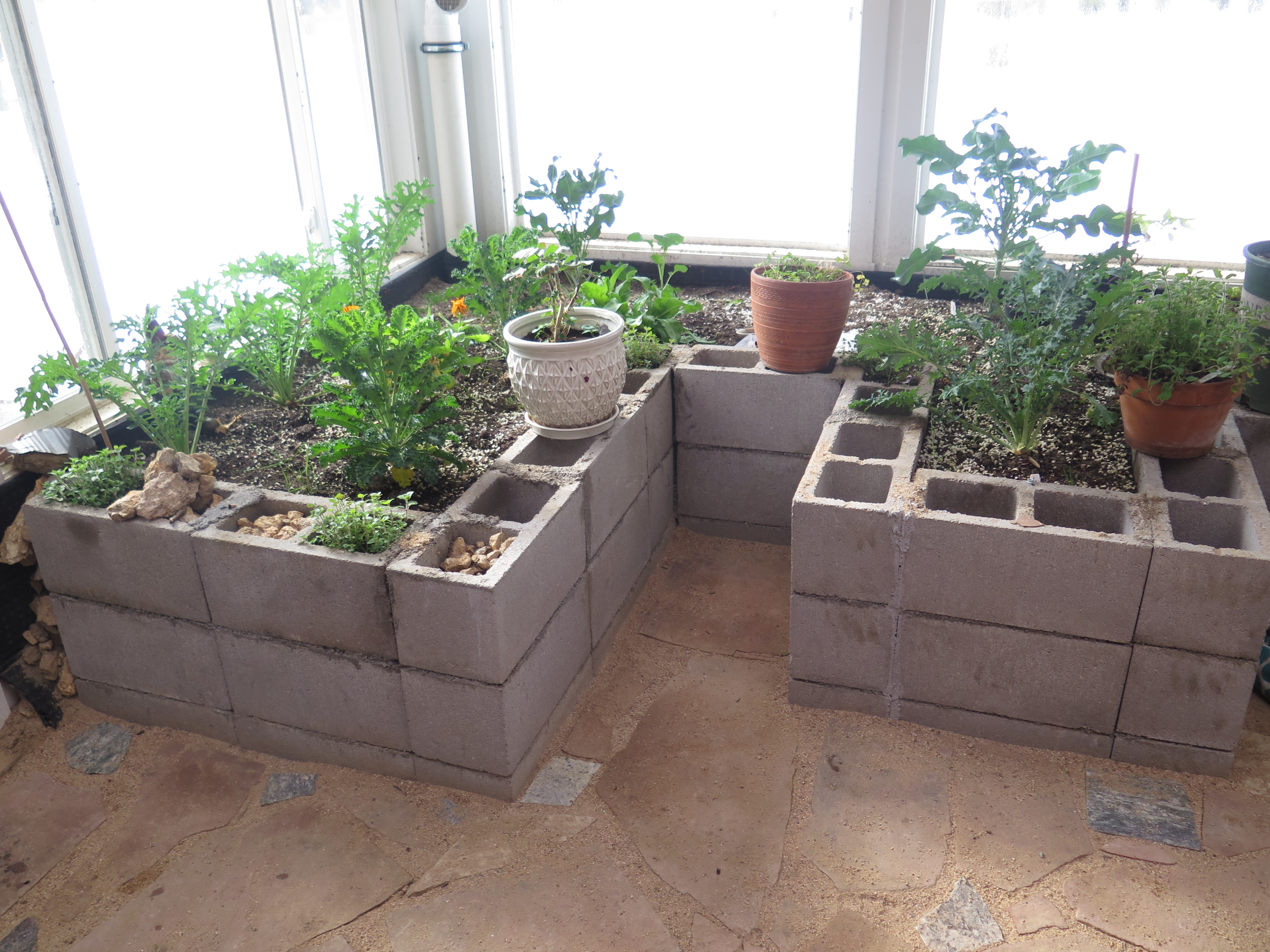 greenhouse raised beds made out of cinder blocks