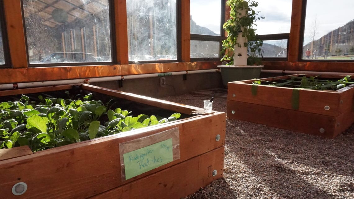 Raised beds in a custom school greenhouse