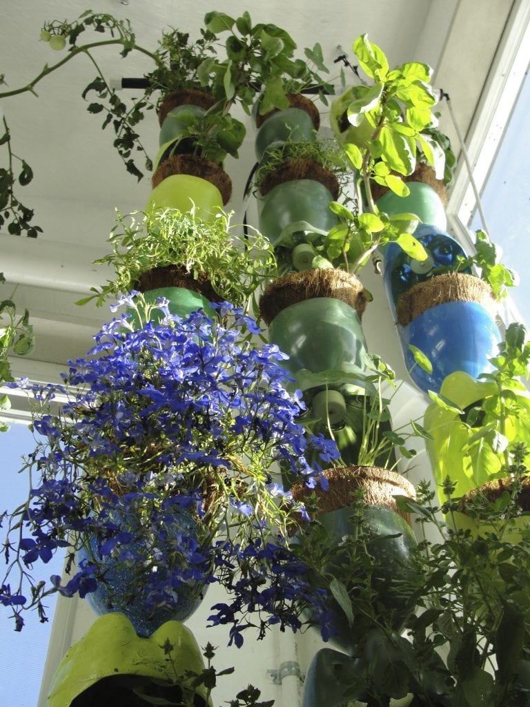 Vertical growing in a greenhouse