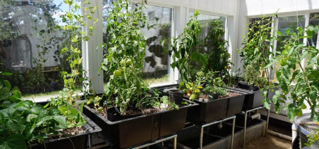 Year-Round Aquaponic Greenhouse_Ceres Greenhouses