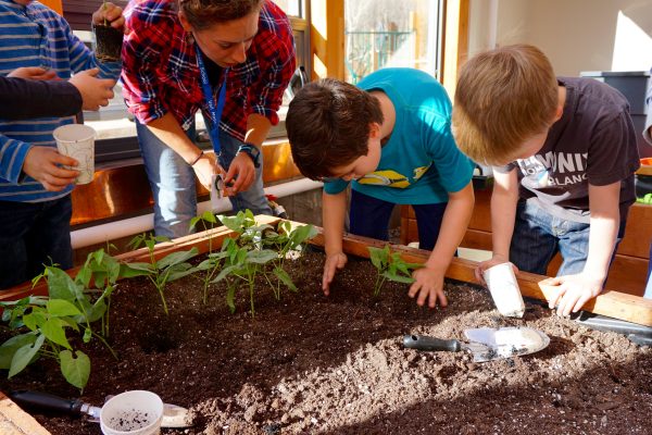 6 Tips for Creating a Year Round School Greenhouse