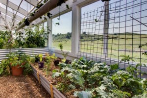 custom year round greenhouse