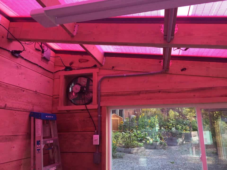 Ceres Builds a Solar Greenhouse with “Pink” Technology