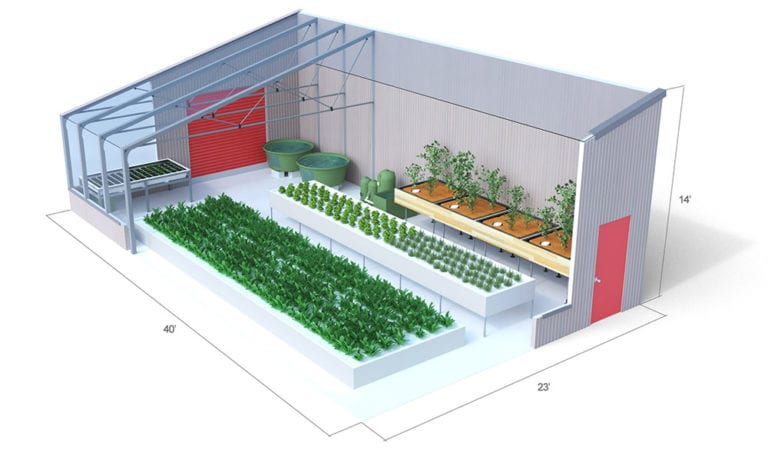 Ceres aquaponics greenhouse for sale- backyard