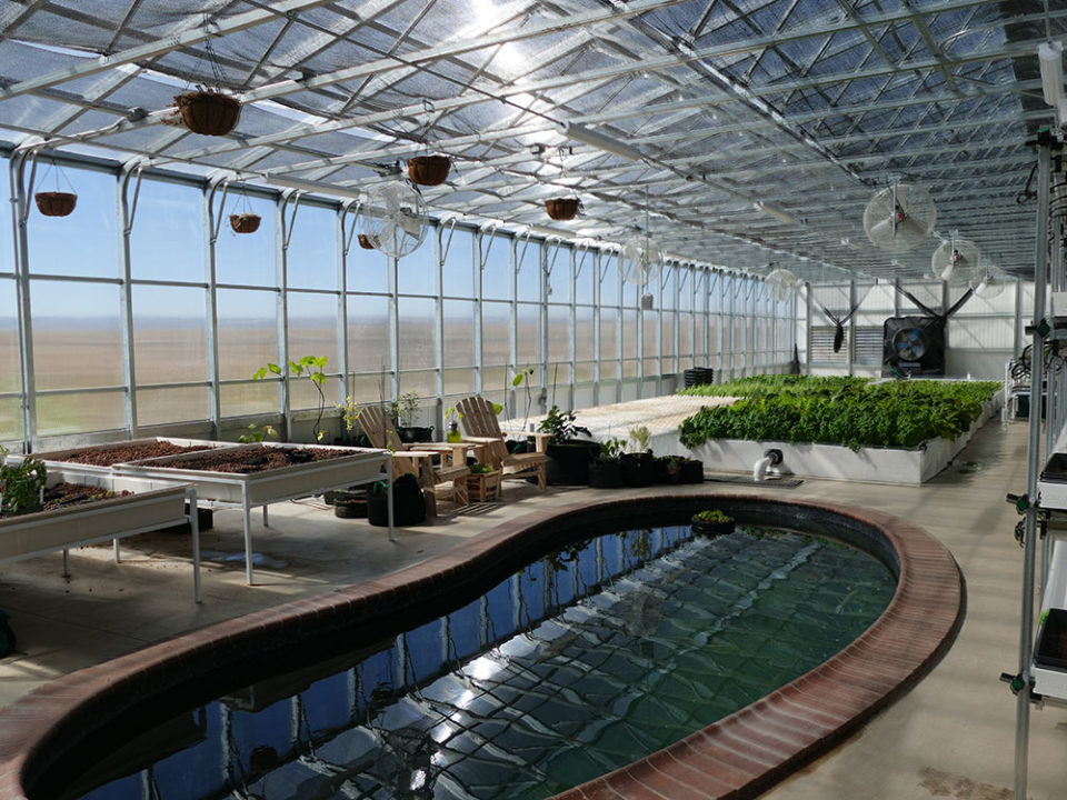 7 Tips for Designing an Aquaponics Greenhouse