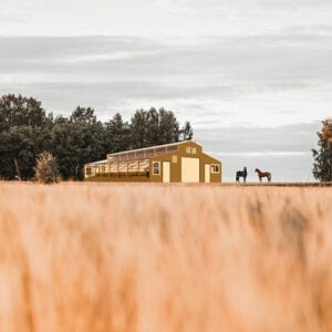 SQUARE-Barn- greenhouse