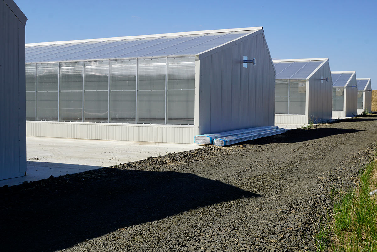 Commercial Modular Greenhouses