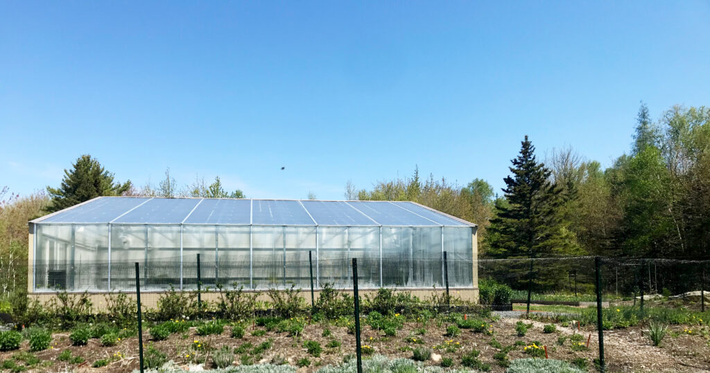 Ceres greenhouse design- commercial