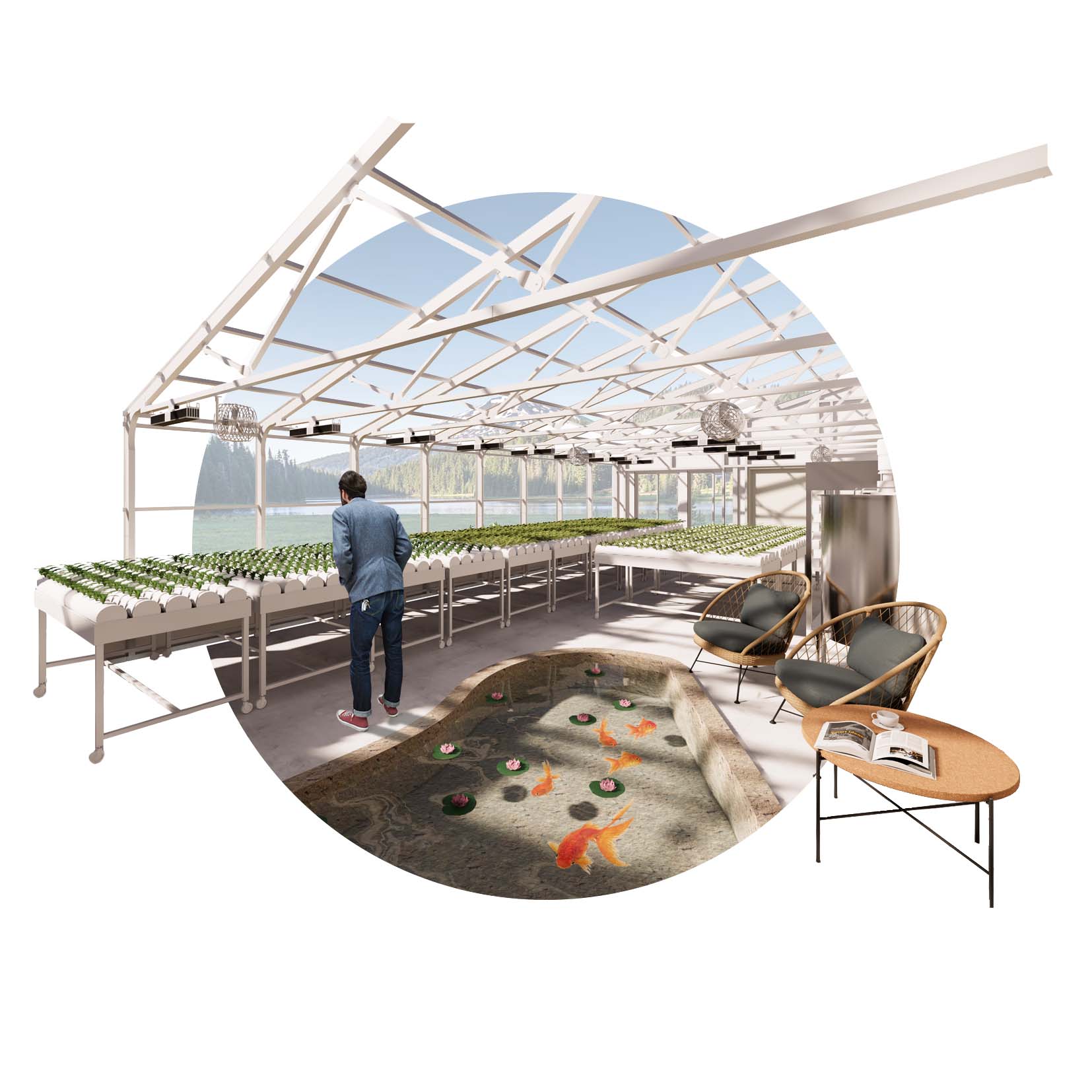grow your own food- inside home hydroponic greenhouse