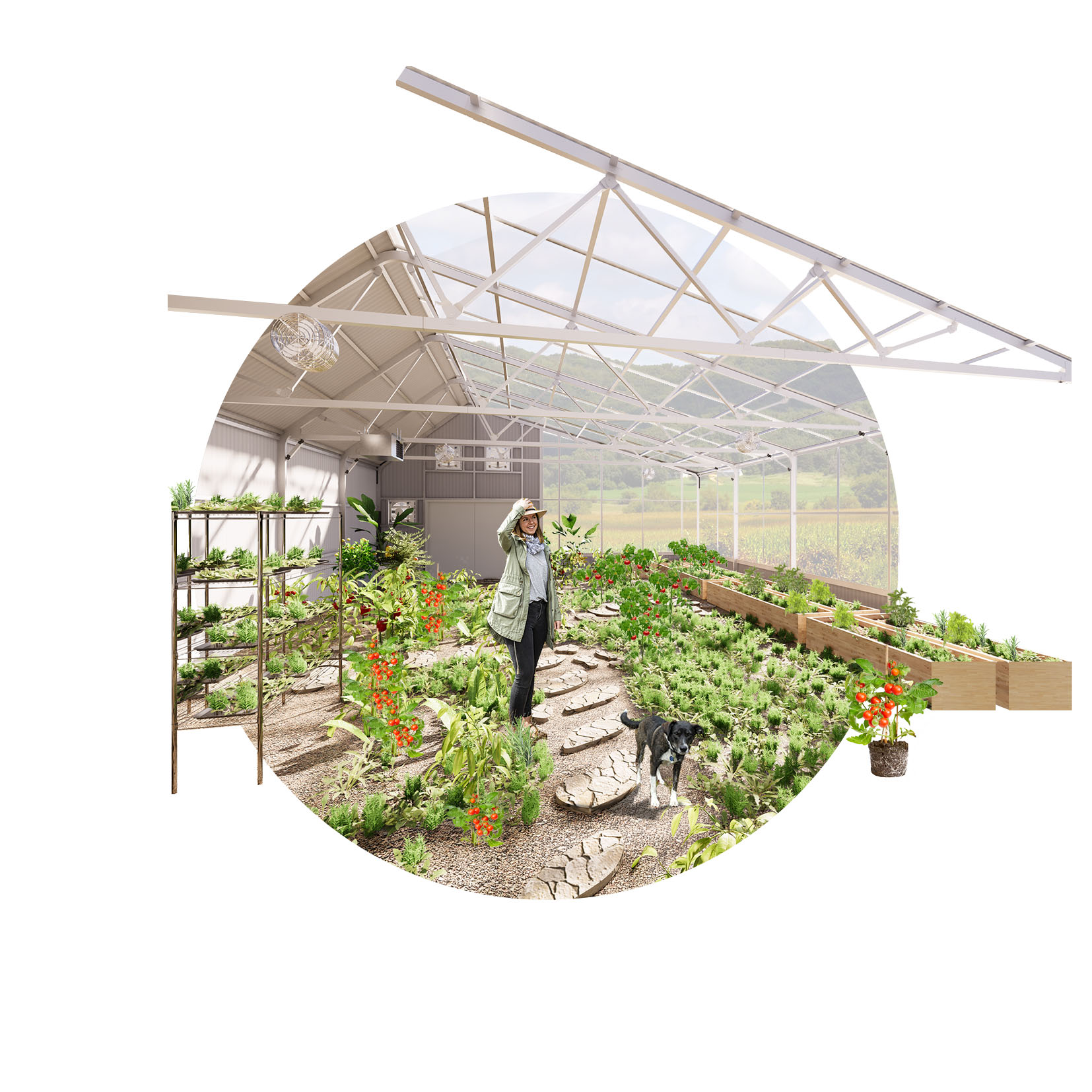grow your own food- inside home farmer greenhouse