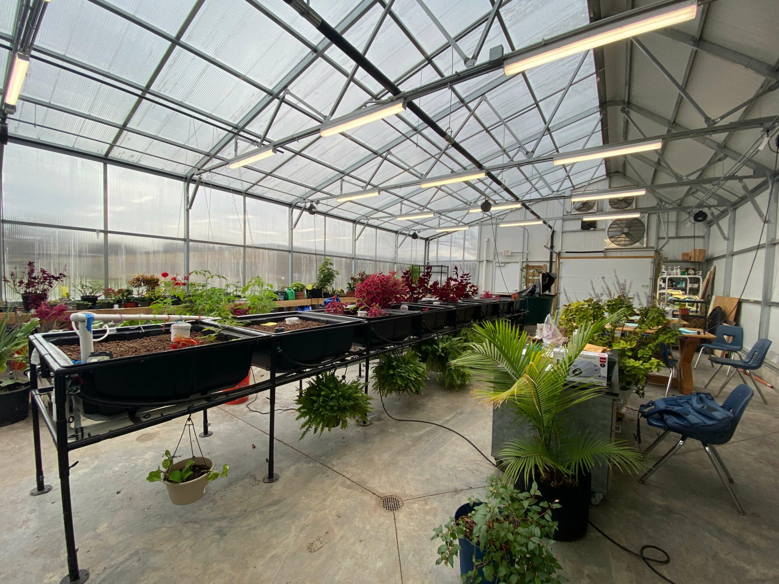 inside educational greenhouse