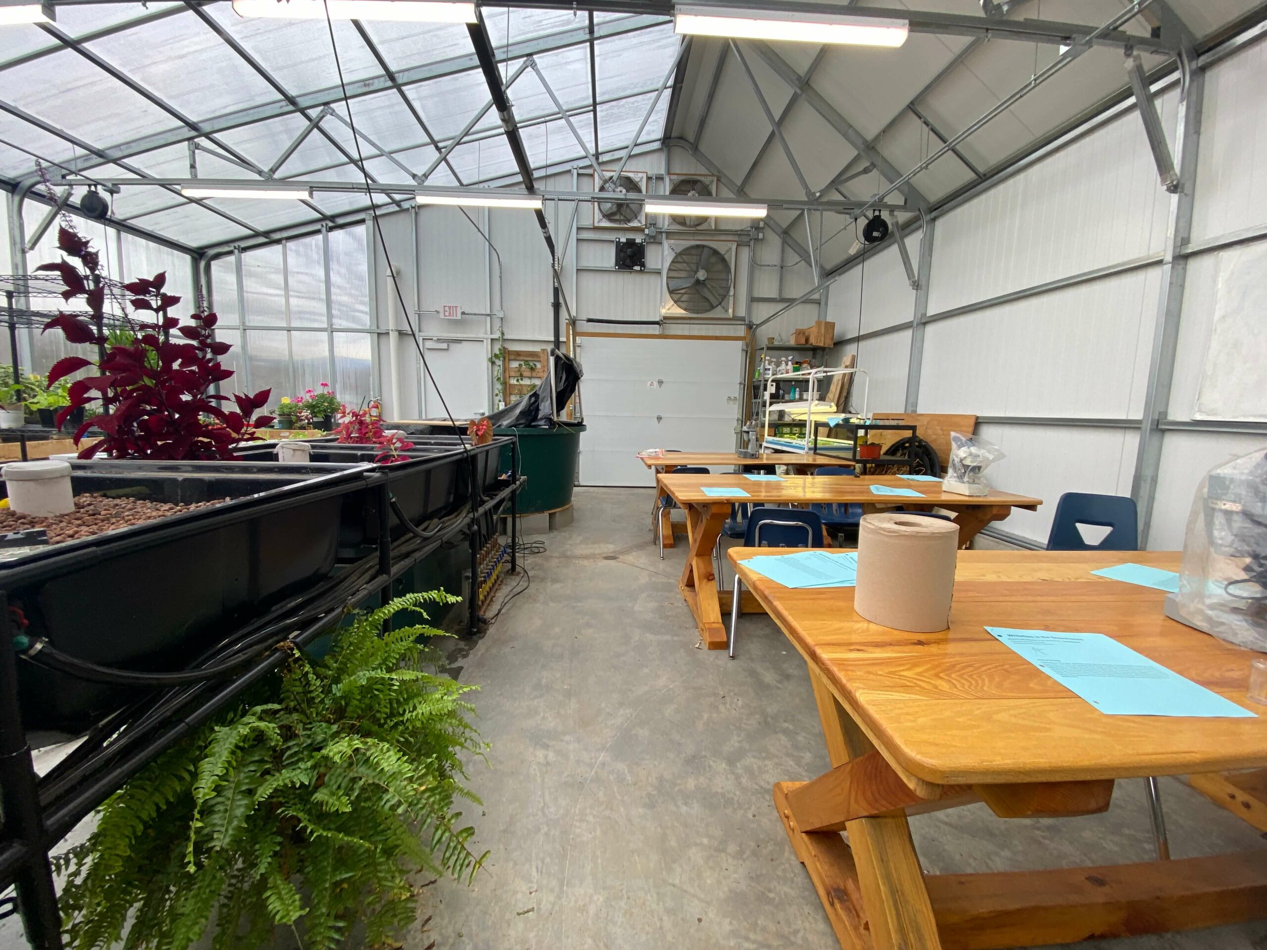 inside school greenhouse