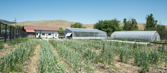 experience farm greenhouse- year round greenhouse
