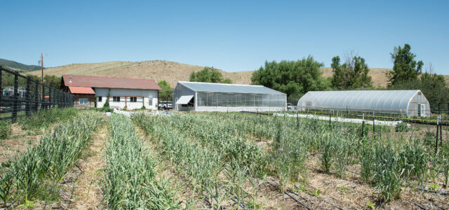 experience farm greenhouse- year round greenhouse