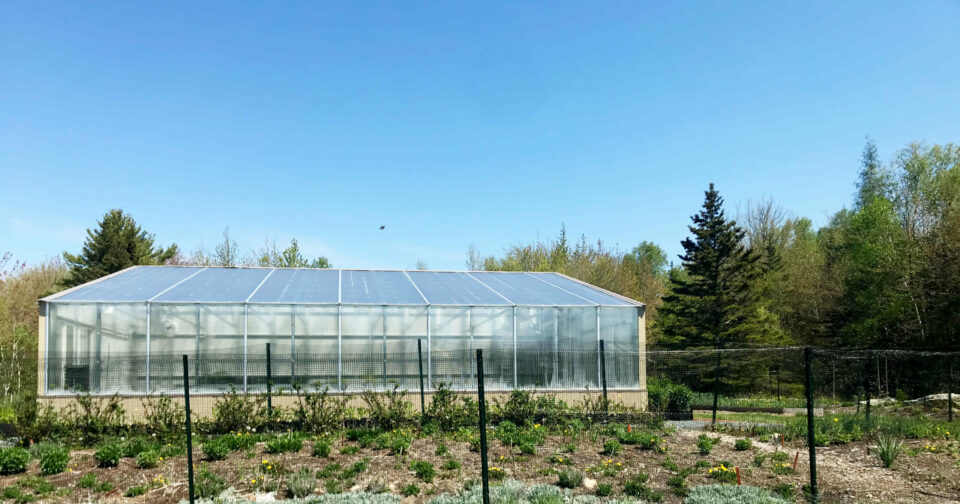 Why the Ceres HighYield™ Kit is Better than Other Commercial Greenhouse Kits