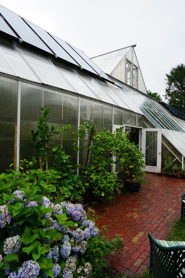 greenhouse in the summer