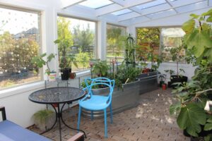 inside summer greenhouse