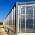 etfe glazing on greenhouse