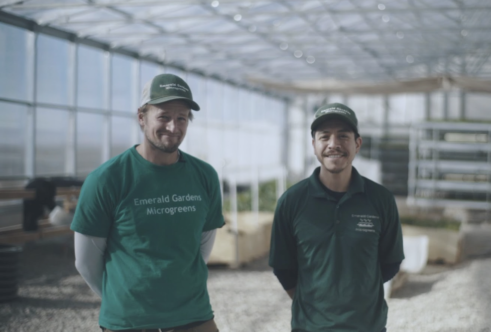 Roberto Meza- Emerald Gardens