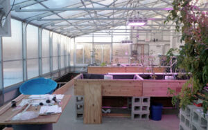 pomfret school greenhouse