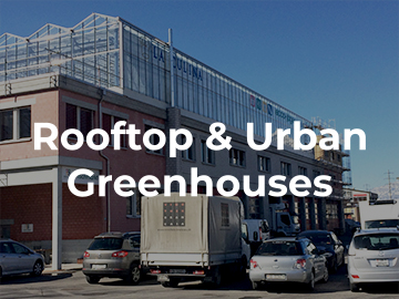 rooftop and urban greenhouses