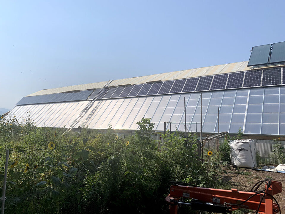 5 Tips for Building a Solar-Powered Greenhouse