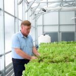 Farm Feasibility Business Plan- lettuce operation