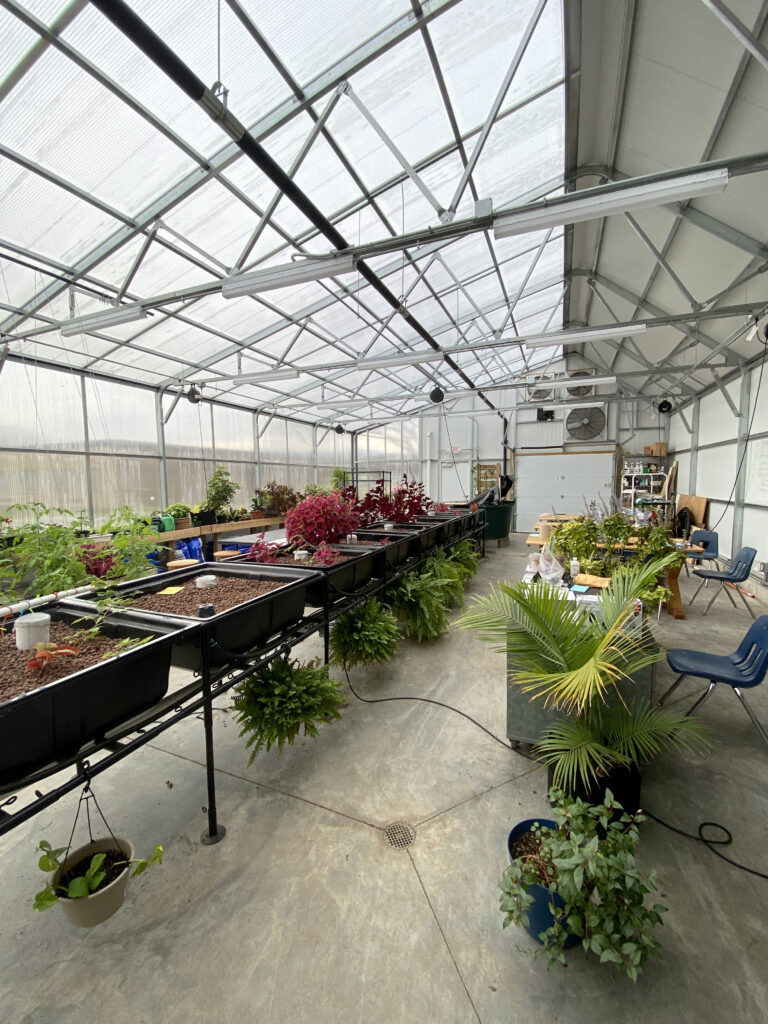 Can I Feed my Family of 4 with a Greenhouse?