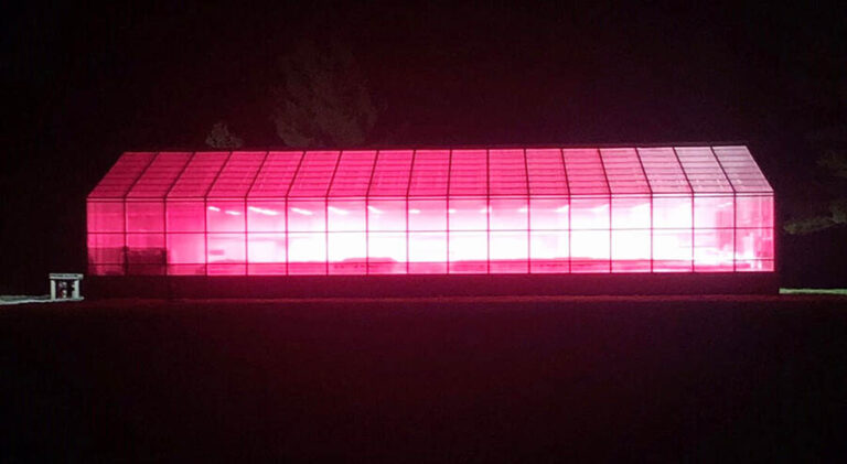 night greenhouse- LEDS