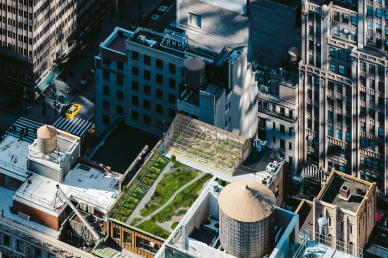 rooftop urban greenhouse