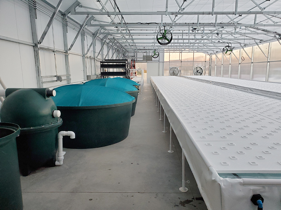 aquaponics greenhouse tanks