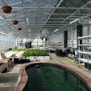 aquaponics inside sq