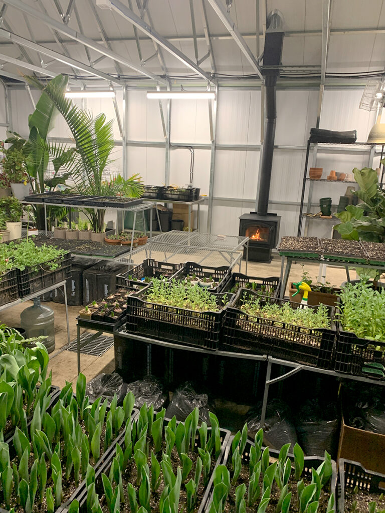 inside greenhouse- heater