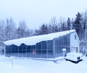 greenhouse in the snow