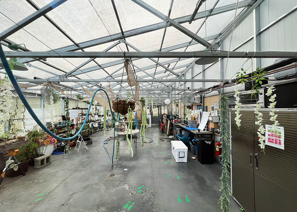 KitesNest- inside of greenhouse