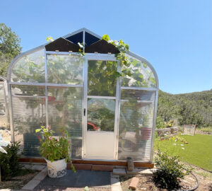 sunglo greenhouse- backyard gardener