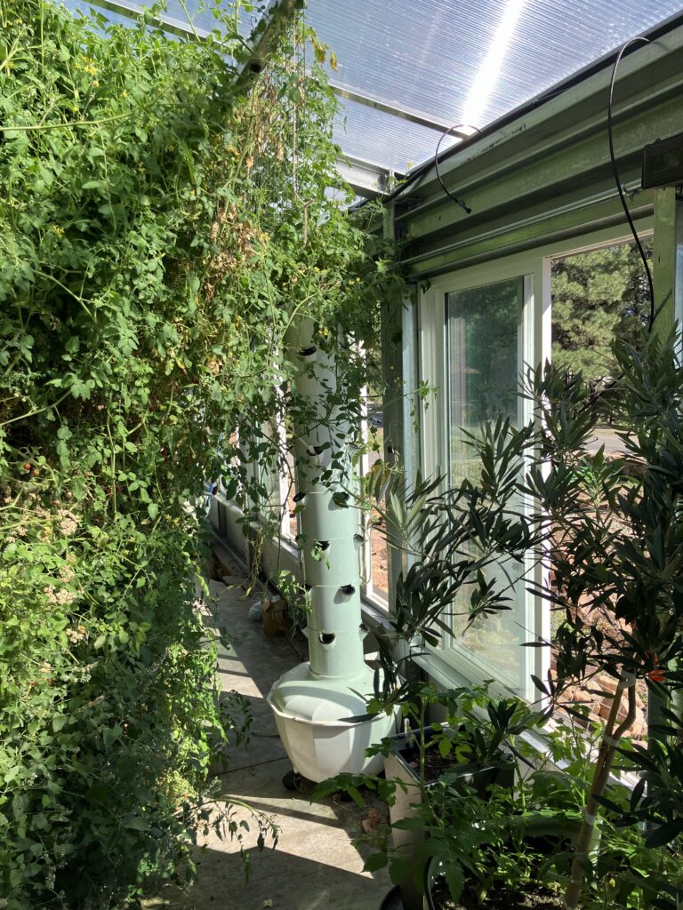 Ceres Vesta+™ Kit House Greenhouse Interior