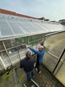 greenhouse consulting