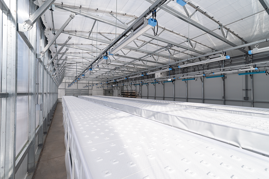 commercial greenhouse with integrated systems