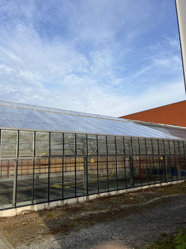 Ceres ETFE glazing retrofit