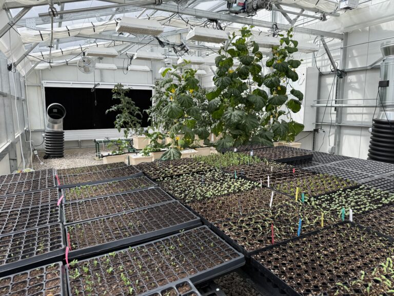 central wyoming interior