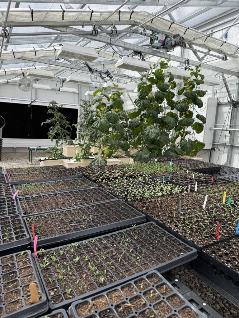 central wyoming college-interior