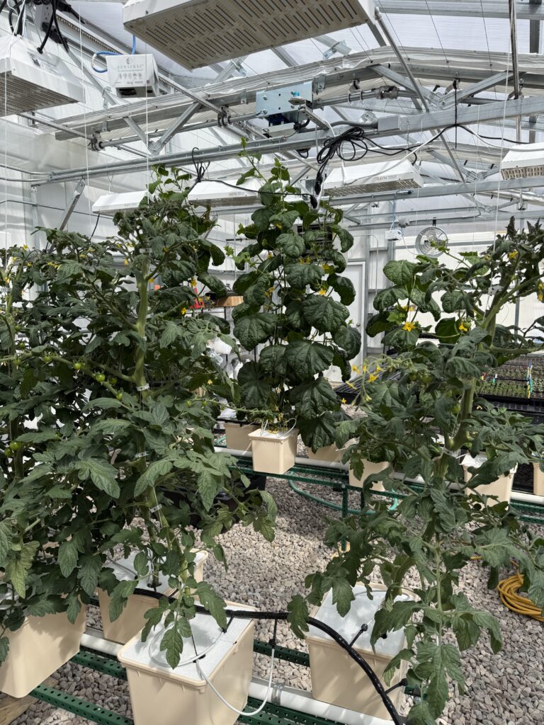 central wyoming college