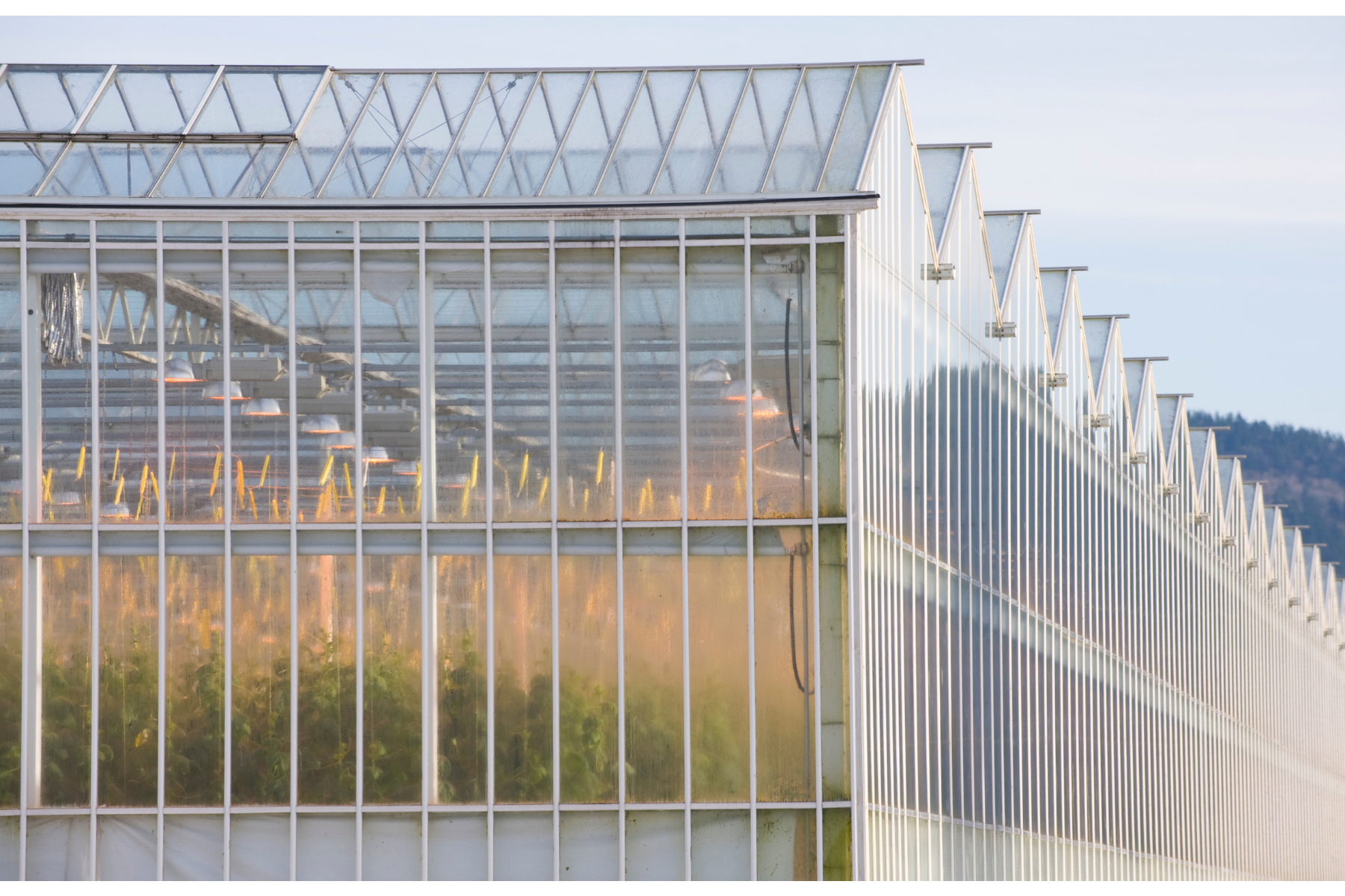 imported greenhouse structure- glass greenhouse