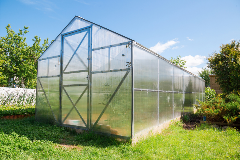 domestic greenhouse structure- polycarbonate greenhouse