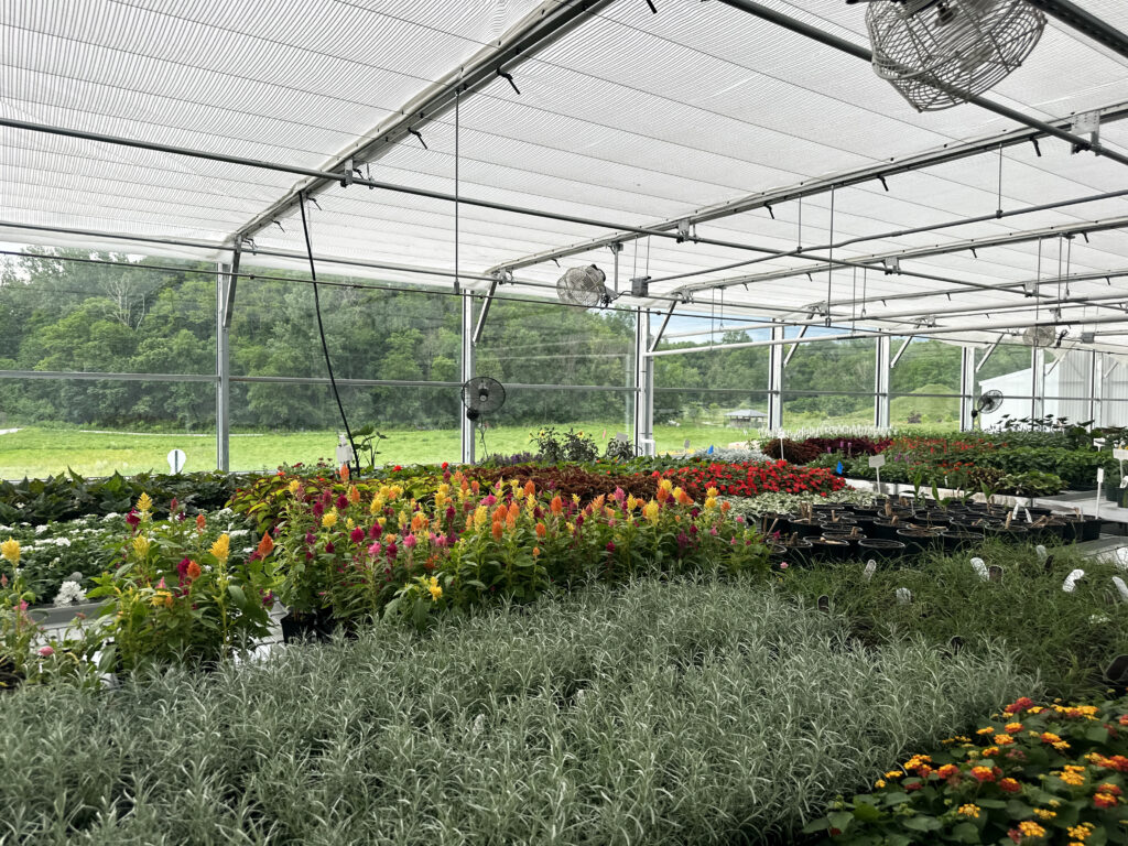 greenhouse shade system
