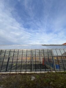 Glass greenhouse consulting