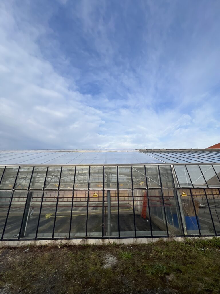 Glass greenhouse consulting